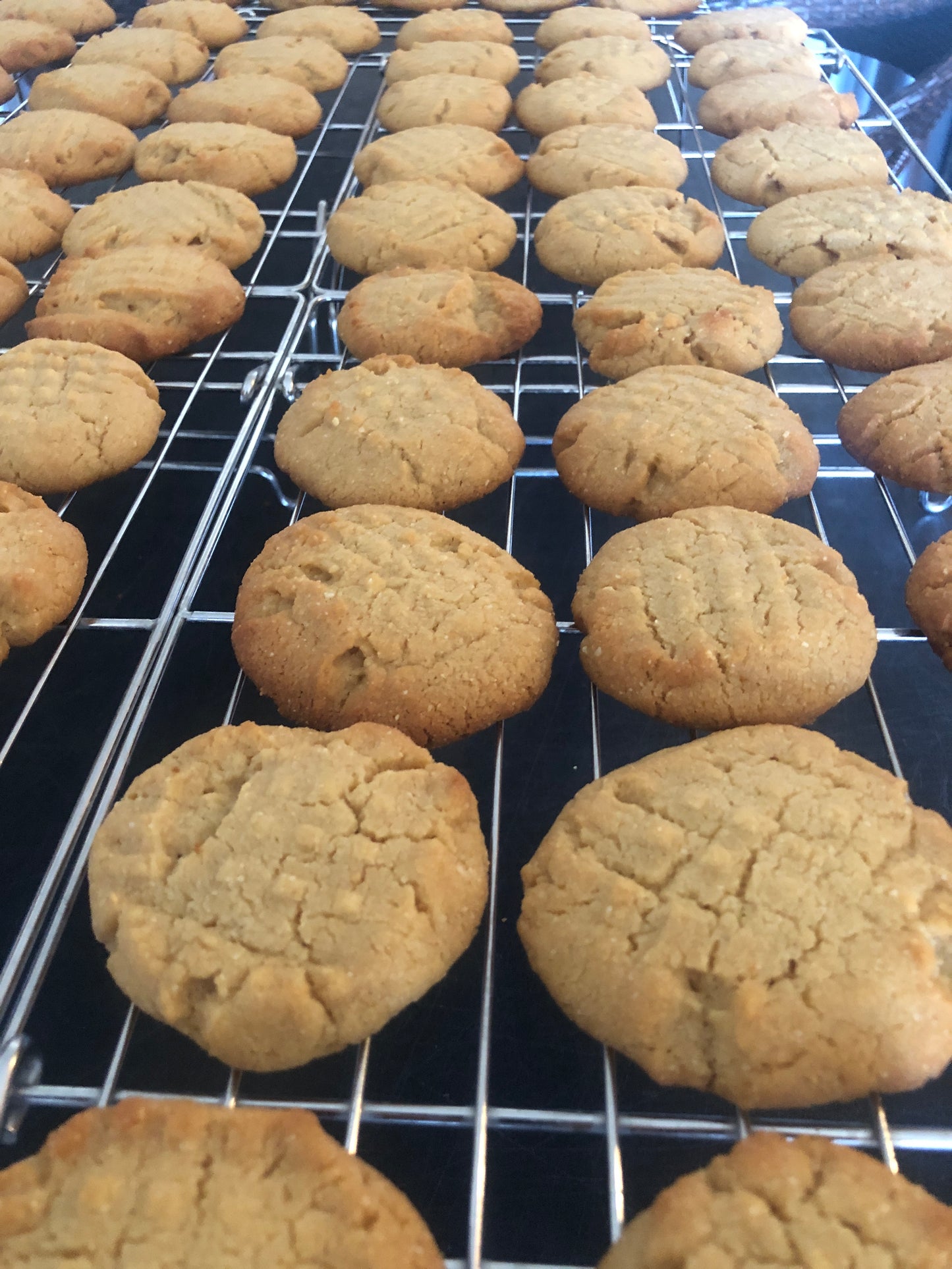 Peanut Butter Cookie