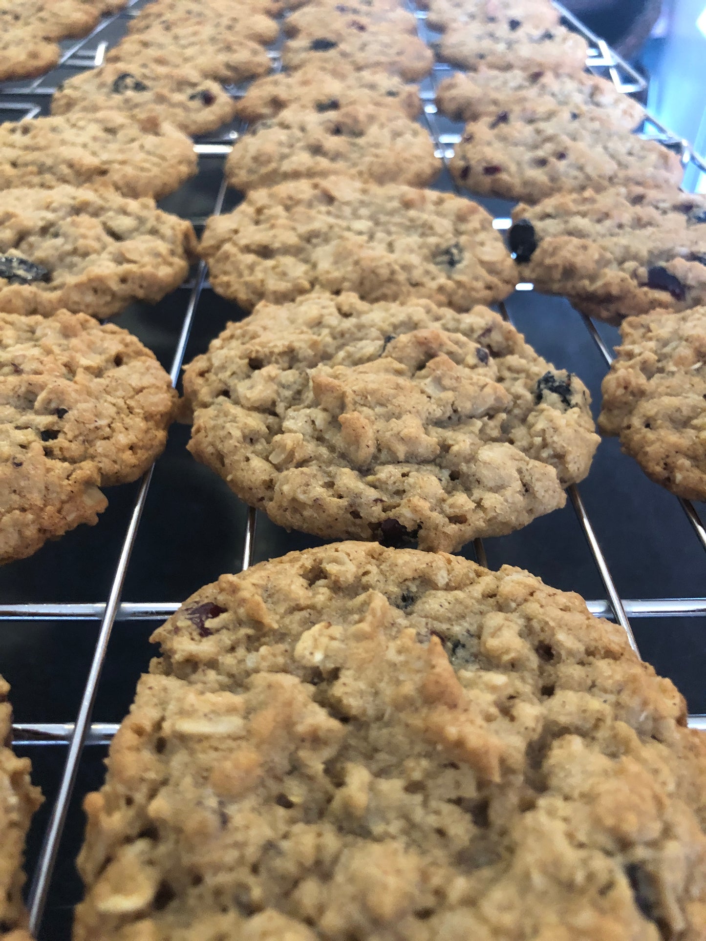 Oatmeal Cookie