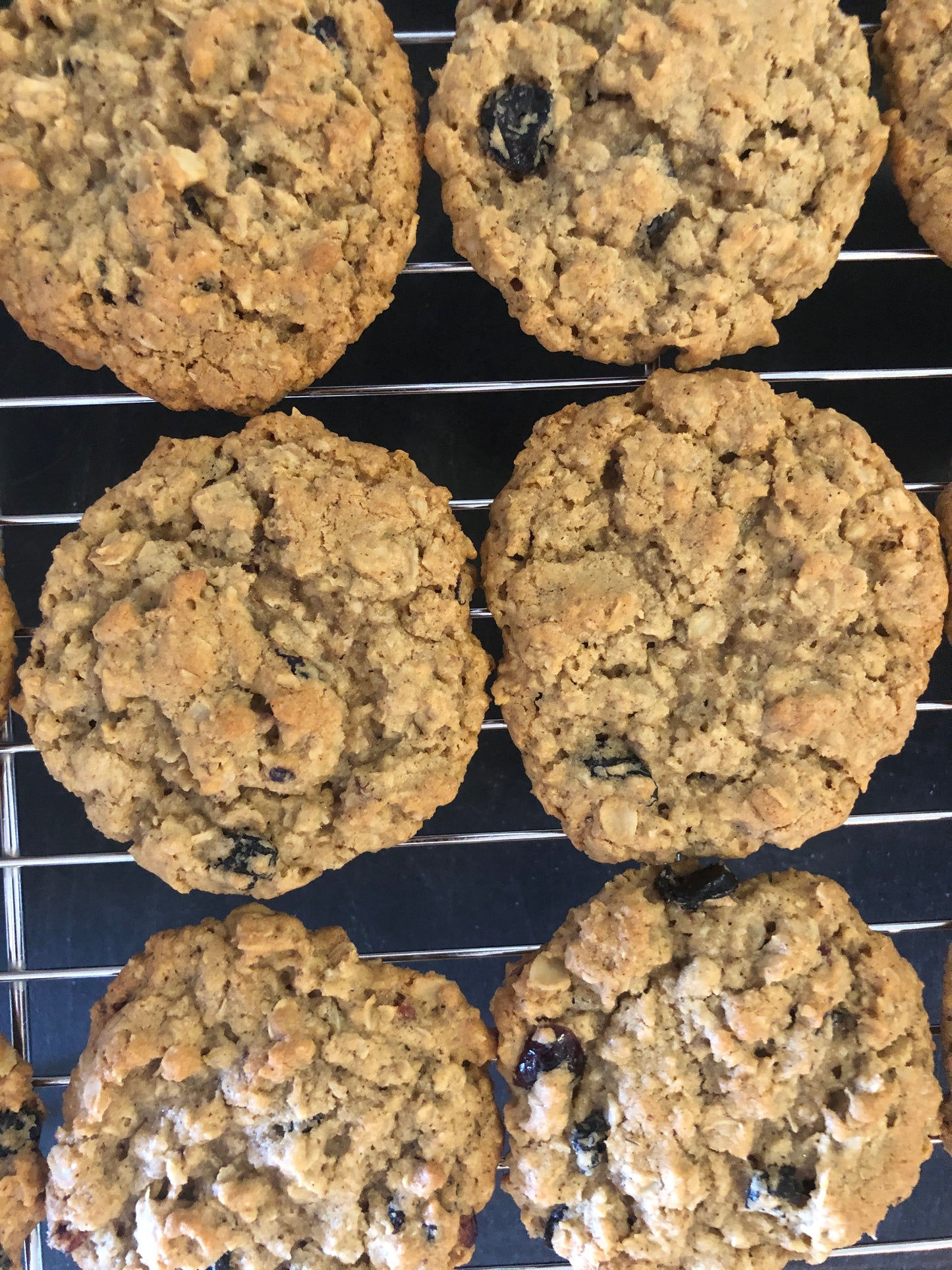 Oatmeal Cookie